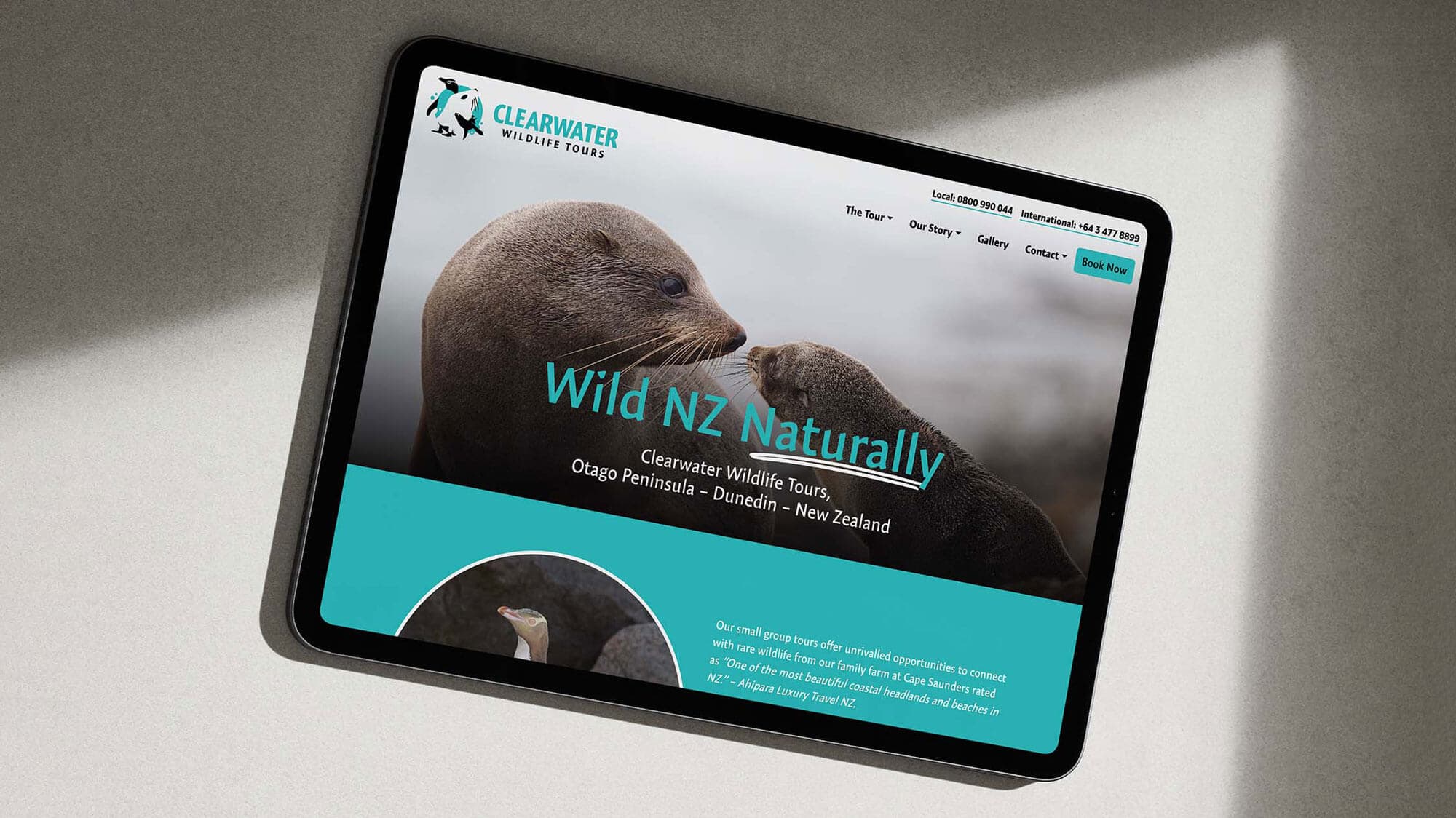 clearwater wildlife tours dunedin otago firebrand